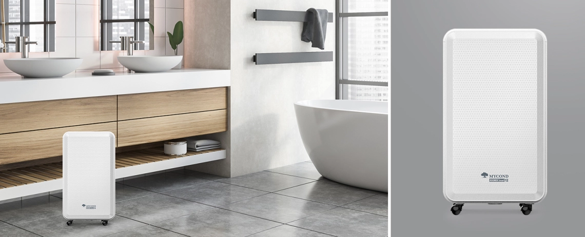 MyCond Roomer Smart 12 A compact dehumidifier ideal for bathroom use.